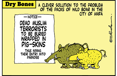 Dry Bones cartoon,Antisemitism,Haredi,Pigs, Pig-skin, Mullahs,Gaza,Invasion, Terrorism, Islamofascism, Islamism, Jews,Israel, Iran, War, Pogrom,Hamas, 
